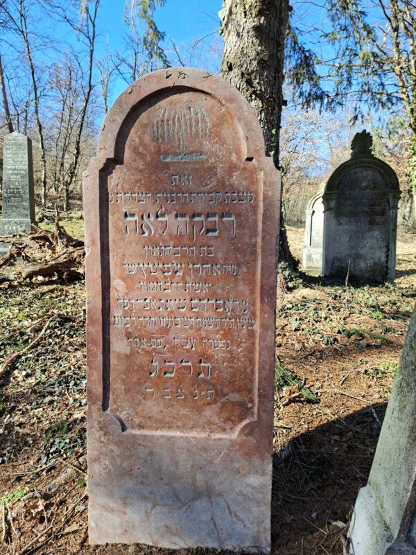 Grabstein Leni (Rebekka Lea) Zwebner, 29. Adar 623 = Freitag, 20. März 1863. Rabbiner Moshe Walles ließ den Grabstein 2025 renovieren
