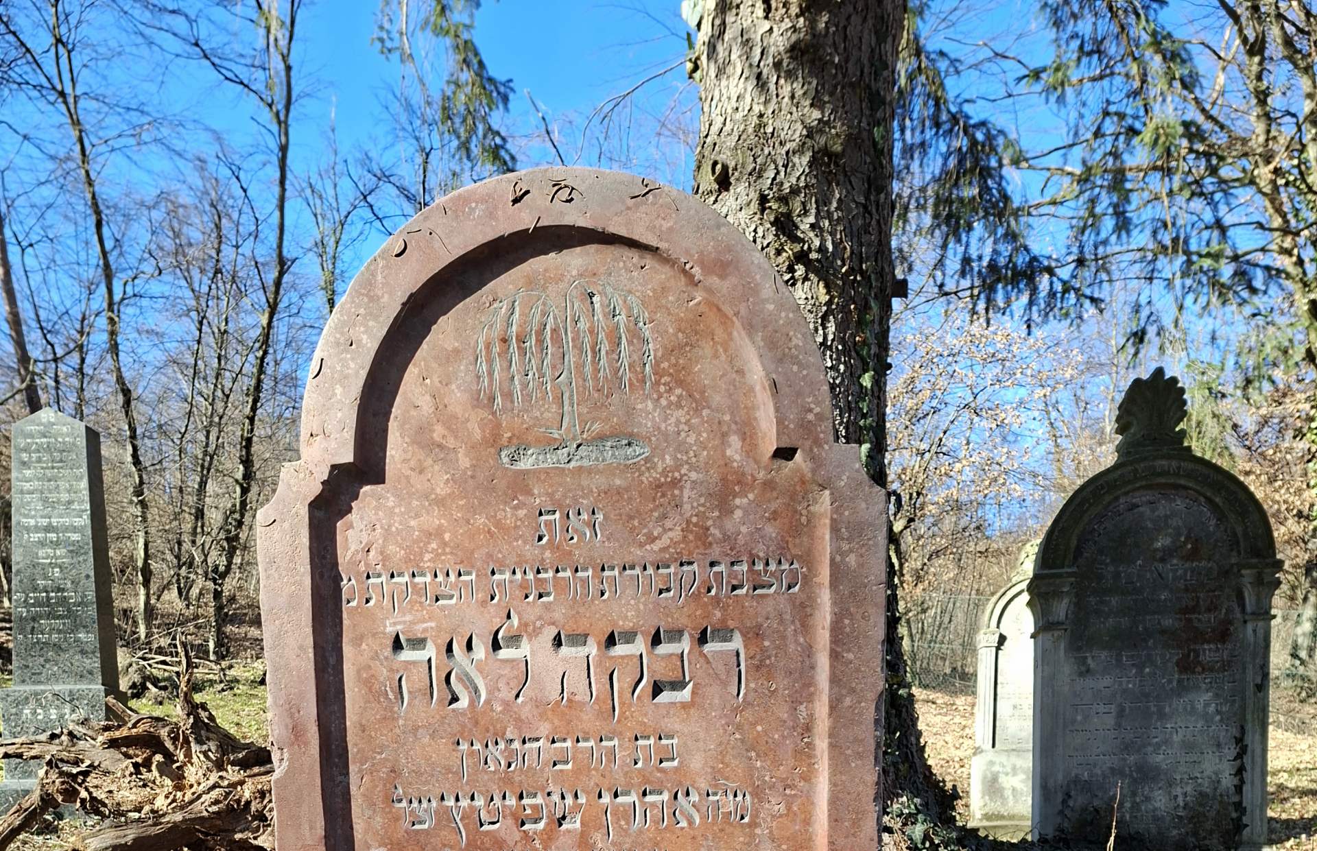 Zwebner Leni, geb. Spitz – 20. März 1863