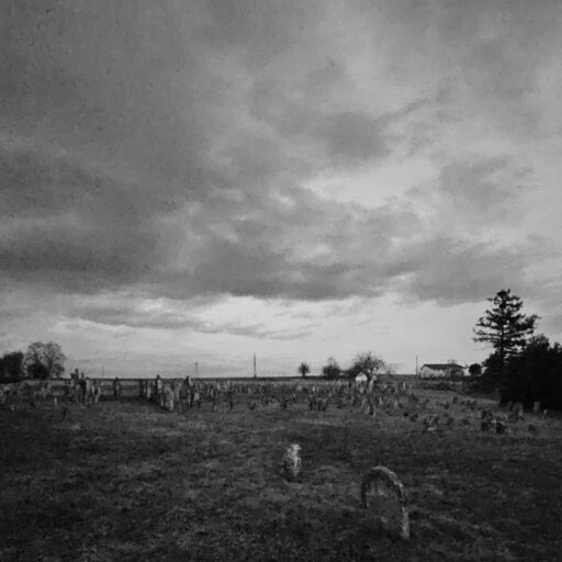 Jüdischer Friedhof Lackeenbach, 28. Februar 2025, 18 Uhr. In diesem Sektor vermutete ich den Grabstein.