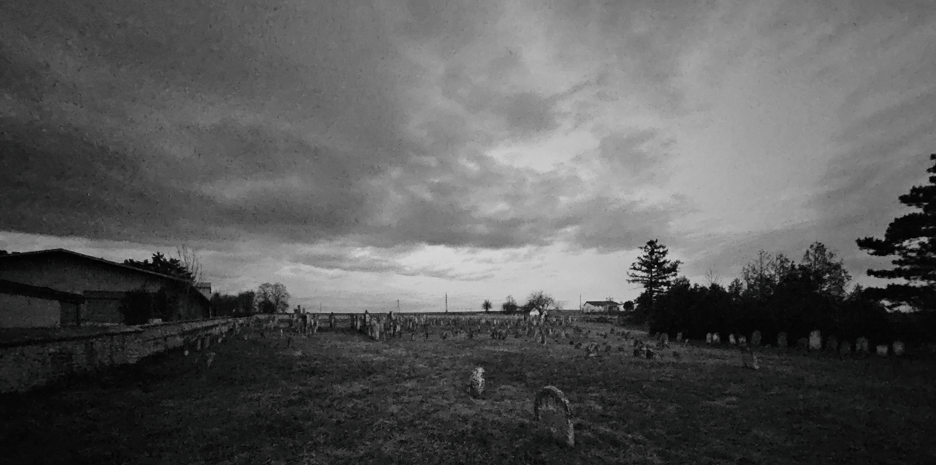 Der Mordprozess