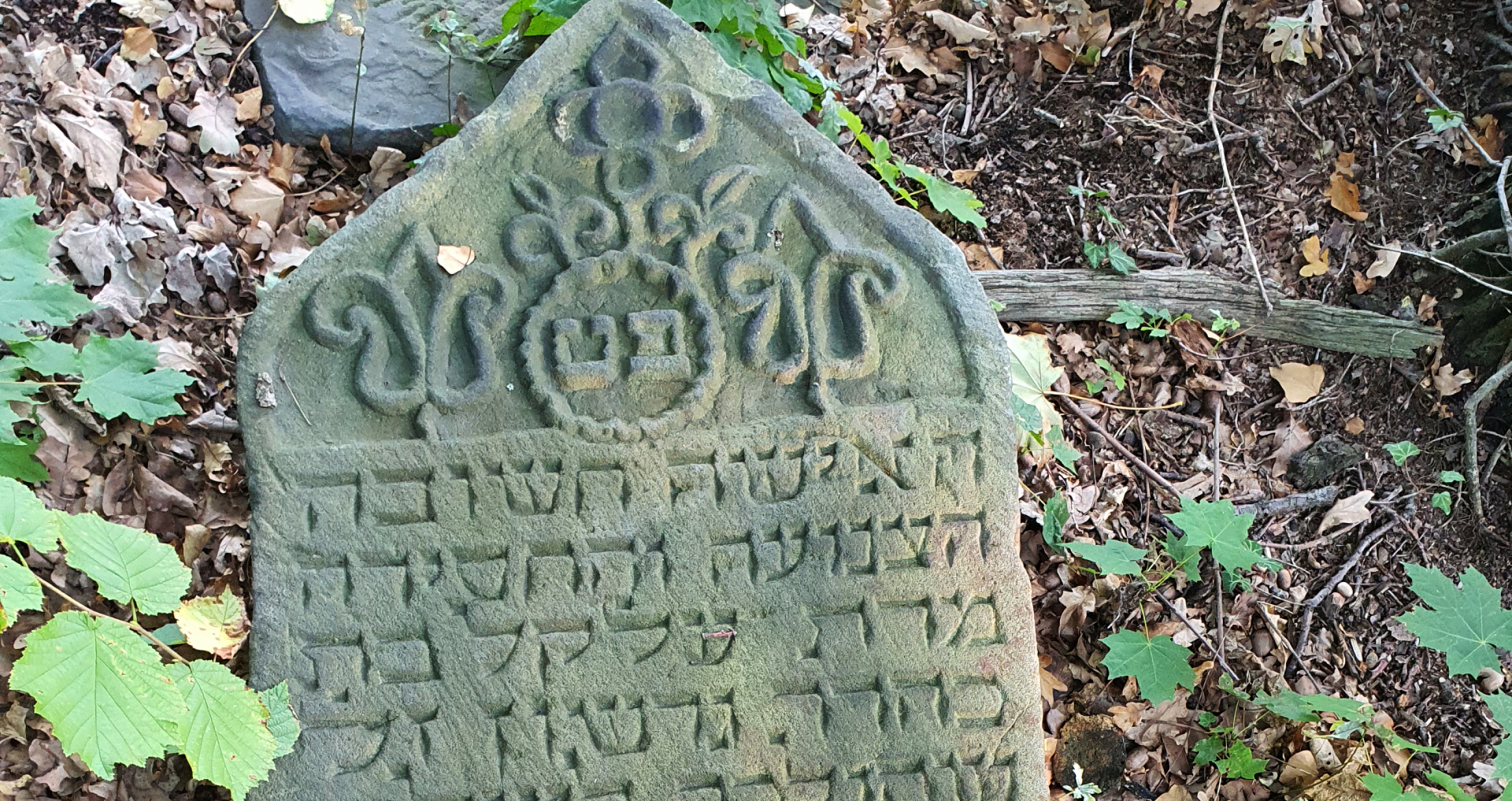 Elkel, Tochter Gerschon – 15. Februar 1778