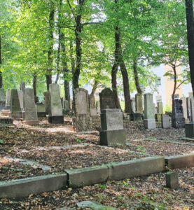 Neuer jüdischer Friedhof Nikolai (Mikolow)