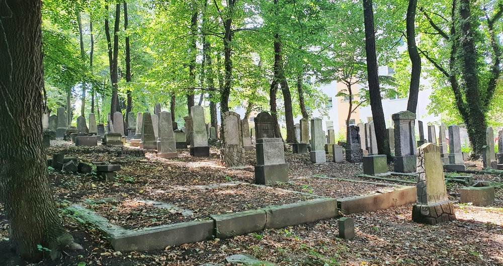 Kategorie: <span>Friedhof Nikolai (Mikolow)</span>