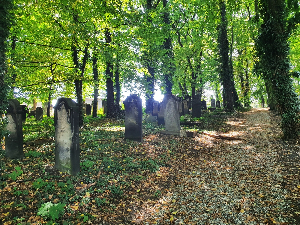 Neuer jüdischer Friedhof Nikolai