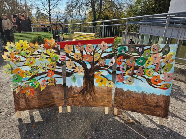 Perfekt vorbereitet von Schülerinnen und Schülern, Lehrerinnen und Lehrern