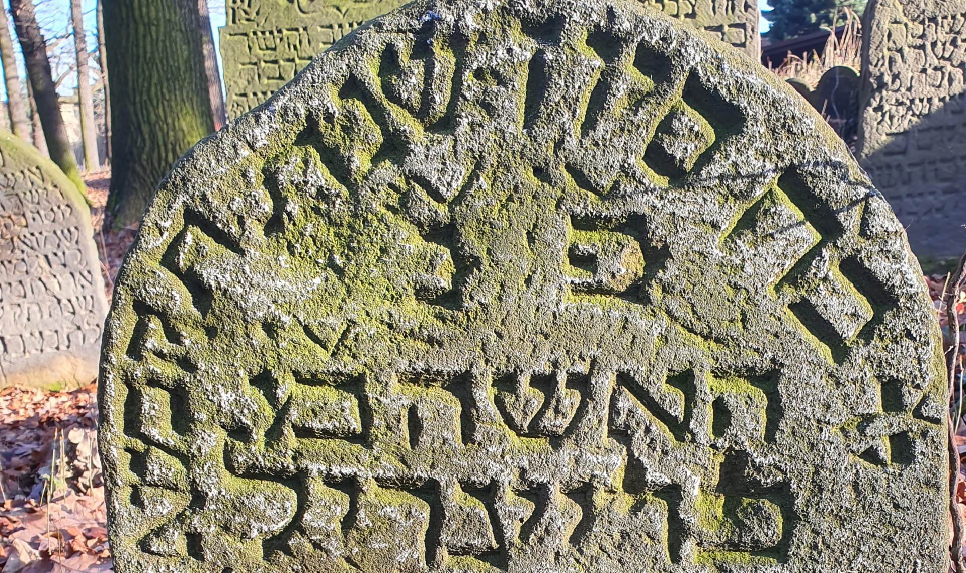 Breindel, Tochter Abraham – 21. Juni 1781