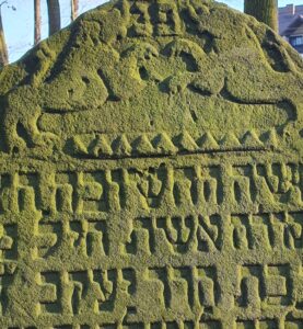 Chaja, Tochter Jakob – 25. November 1785