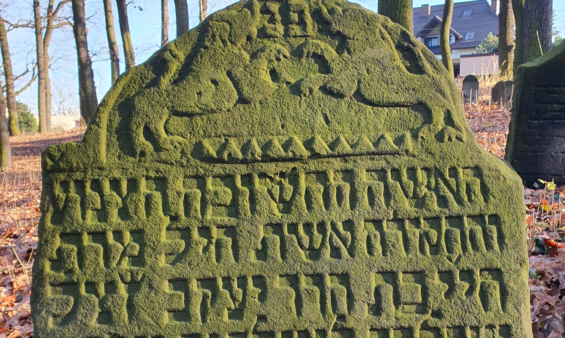 Chaja, Tochter Jakob – 25. November 1785