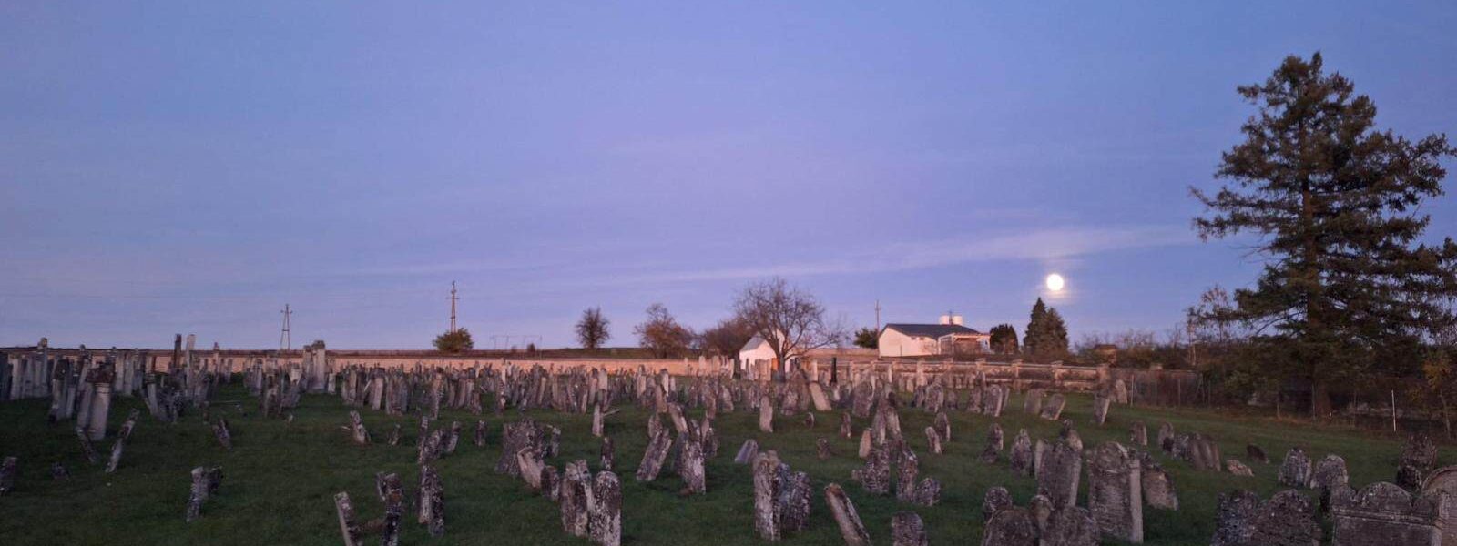 Jüdischer Friedhof Lackenbach, 05. November 2025, Foto: Adele Grill