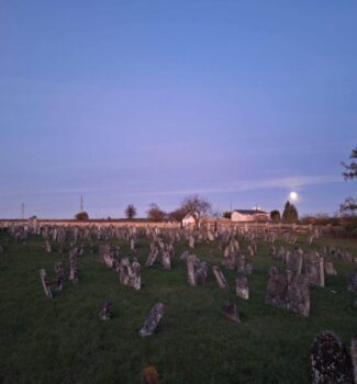 Jüdischer Friedhof Lackenbach, 05. November 2025, Foto: Adele Grill