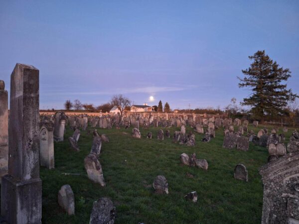 Jüdischer Friedhof Lackenbach, 05. November 2025, Foto: Adele Grill
