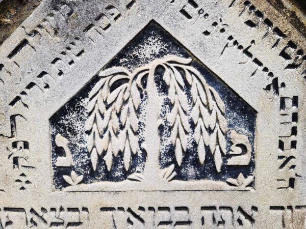 Symbol Tränenbaum am Grabstein von Bernhard Eidlitz, 12. April 1854