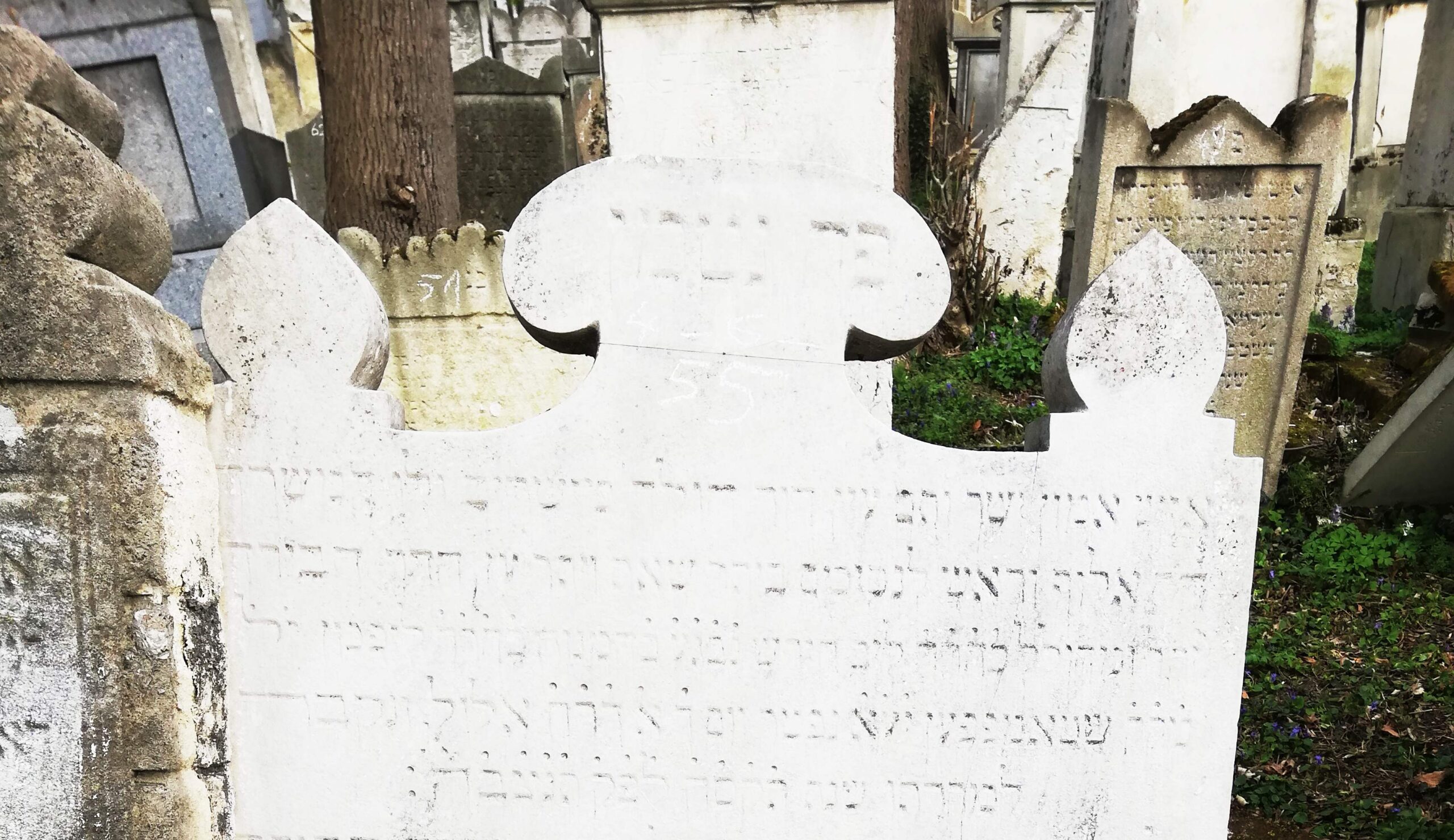 Kohn Hirschl Löbl – 23./24. August 1808