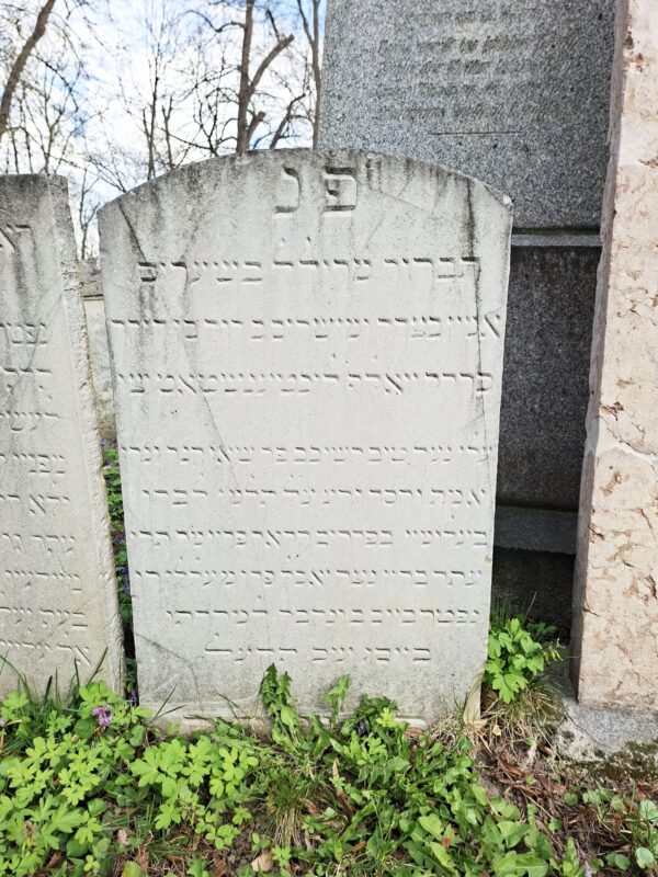 Grabstein David Lichtenstadt, 08. Tischre 570 = Montag, 18. September 1809