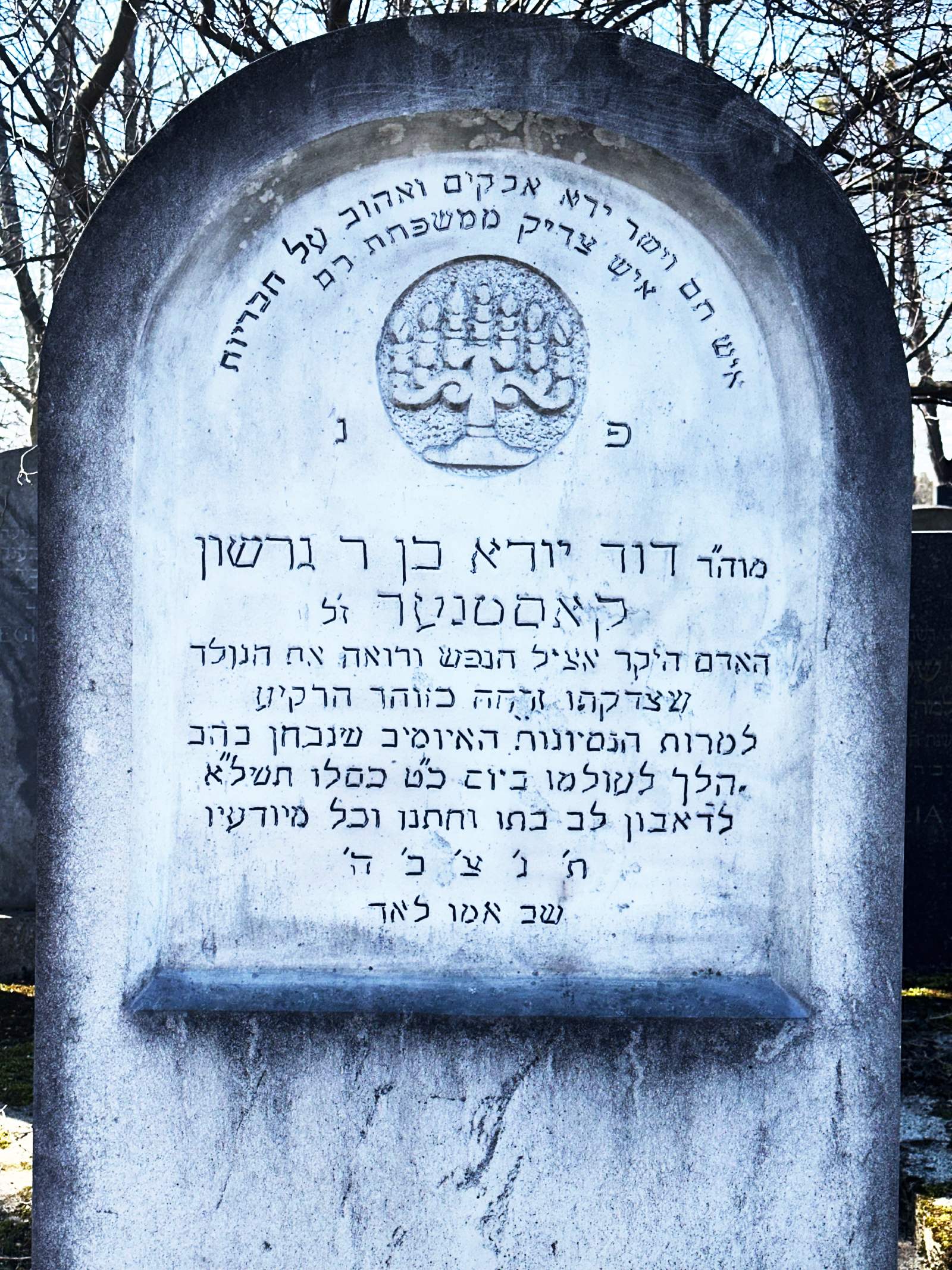 Grabstein Desider (David Juda) Kastner, 29. Kislew 731 = Sonntag, 27. Dezember 1970, Foto: Walter Kogler