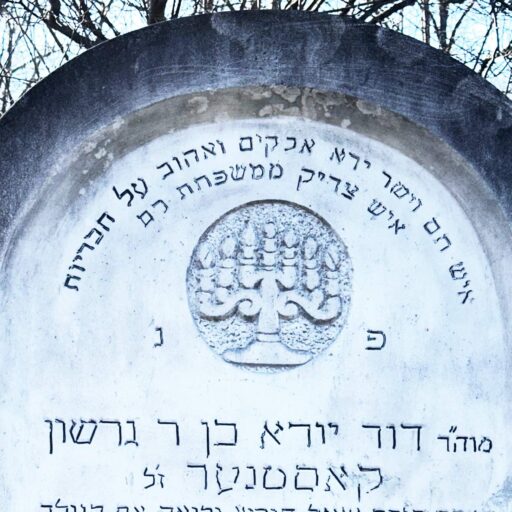 Grabstein Ausschnitt Desider (David Juda) Kastner, 29. Kislew 731 = Sonntag, 27. Dezember 1970, Foto Walter Kogler