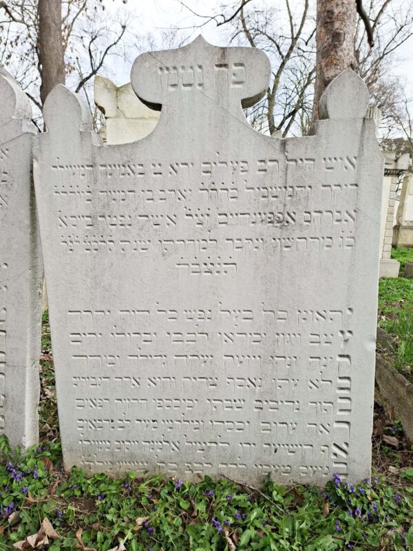 Grabstein Jakob Oppenheim, 13. November 1808 mit schönem Akrostichon