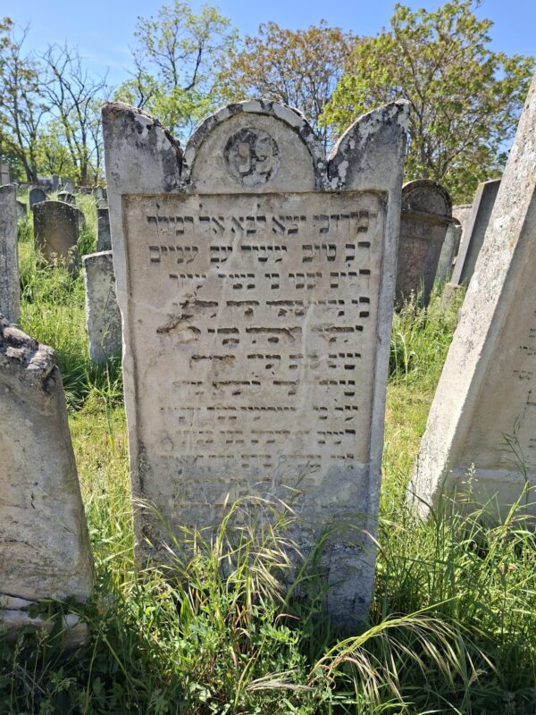 Grabstein Mordechai ...?, jüdischer Friedhof Frauenkirchen