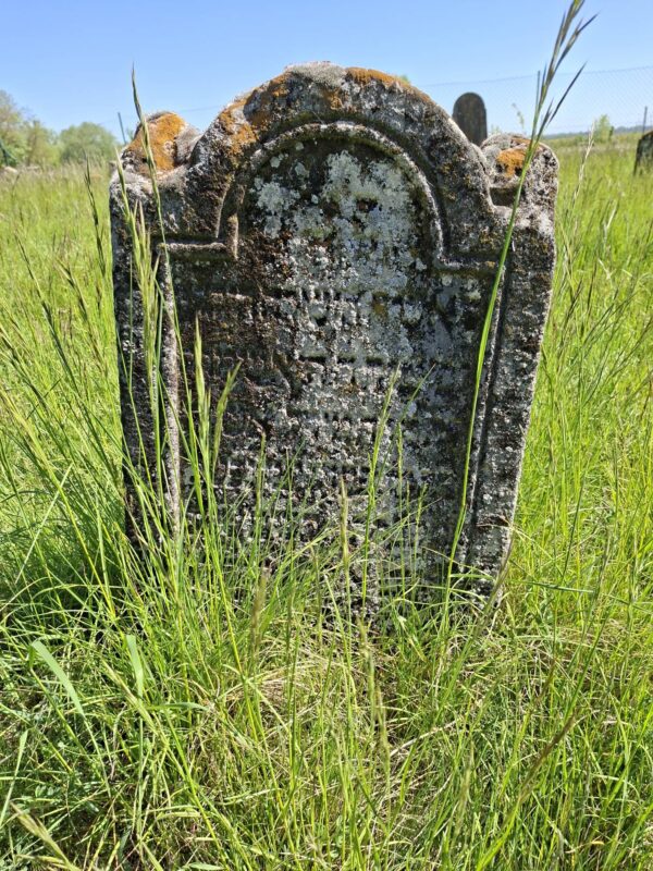 Grabstein am jüdischen Friedhof Gattendorf