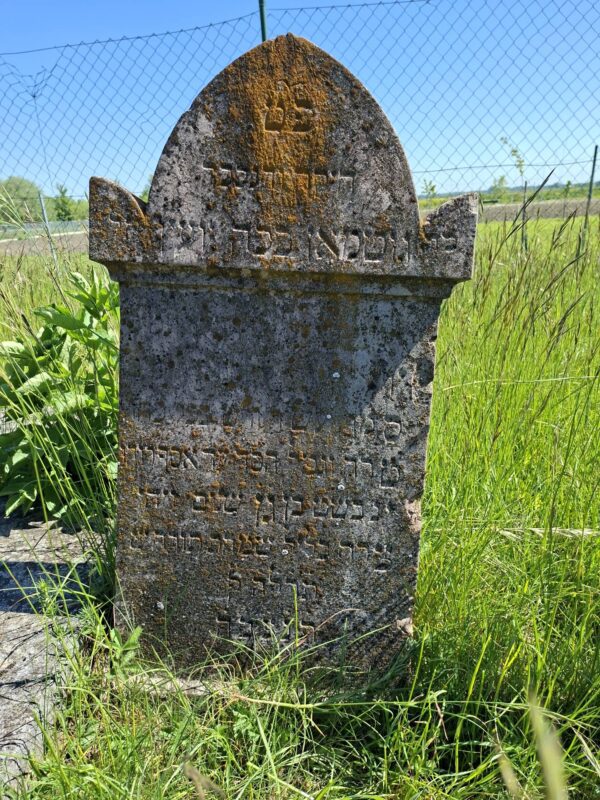 Grabstein Gutmann Weiner? jüdischer Friedhof Gattendorf