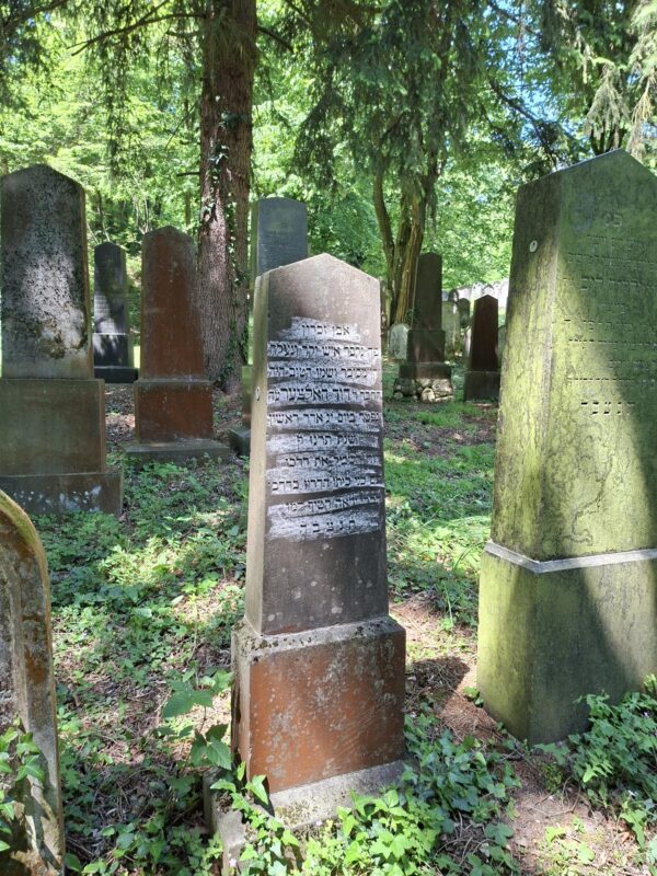 David Holzer, gest. 15. Februar 1897