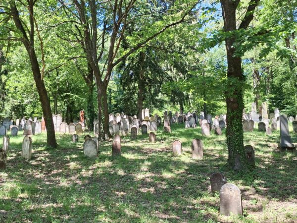 Jüdischer Friedhof Kobersdorf am 24. Mai 2026