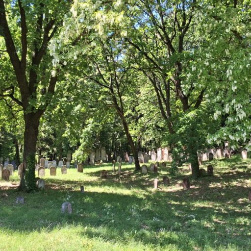 Jüdischer Friedhof Kobersdorf am 24. Mai 2026