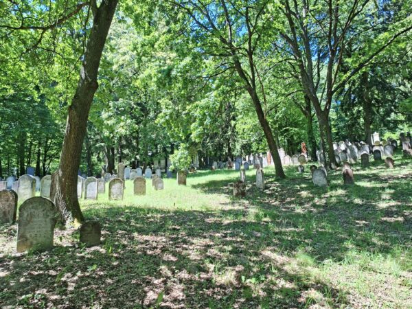 Jüdischer Friedhof Kobersdorf am 24. Mai 2026