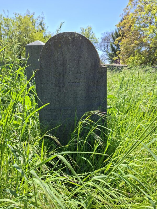 Grabstein am jüdischen Friedhof Kittsee
