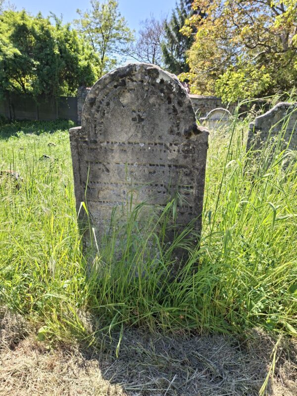 Grabstein am jüdischen Friedhof Kittsee