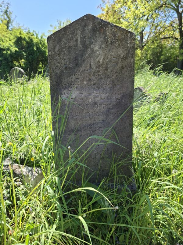Grabstein am jüdischen Friedhof Kittsee