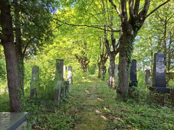 Jüdischer Friedhof Mödling