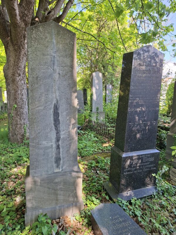 Grabsteine am jüdischen Friedhof Mödling