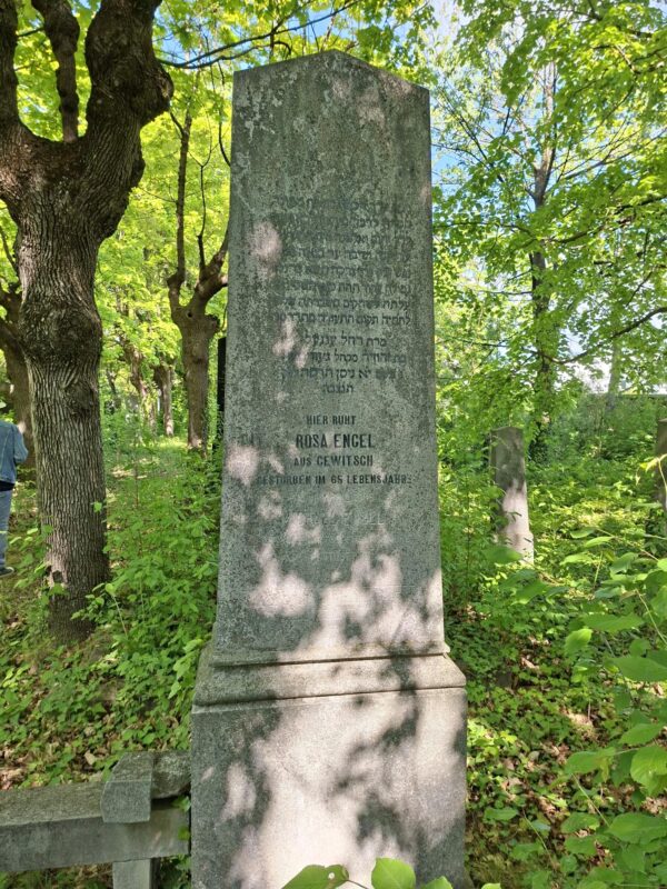 Grabstein Rosa Engel, 1905 am jüdischen Friedhof Mödling