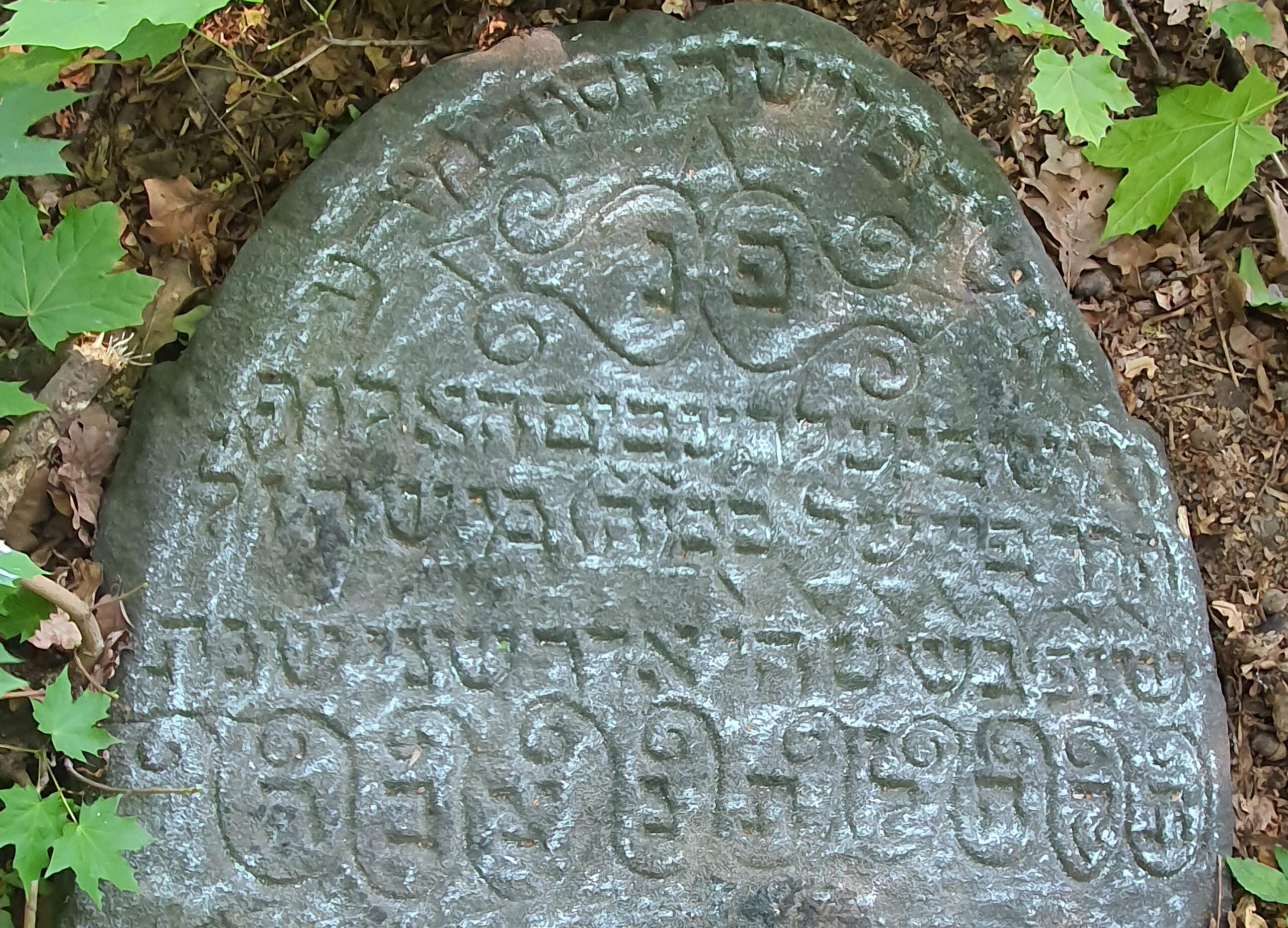 Feitel, Sohn Mose – 18. März 1748