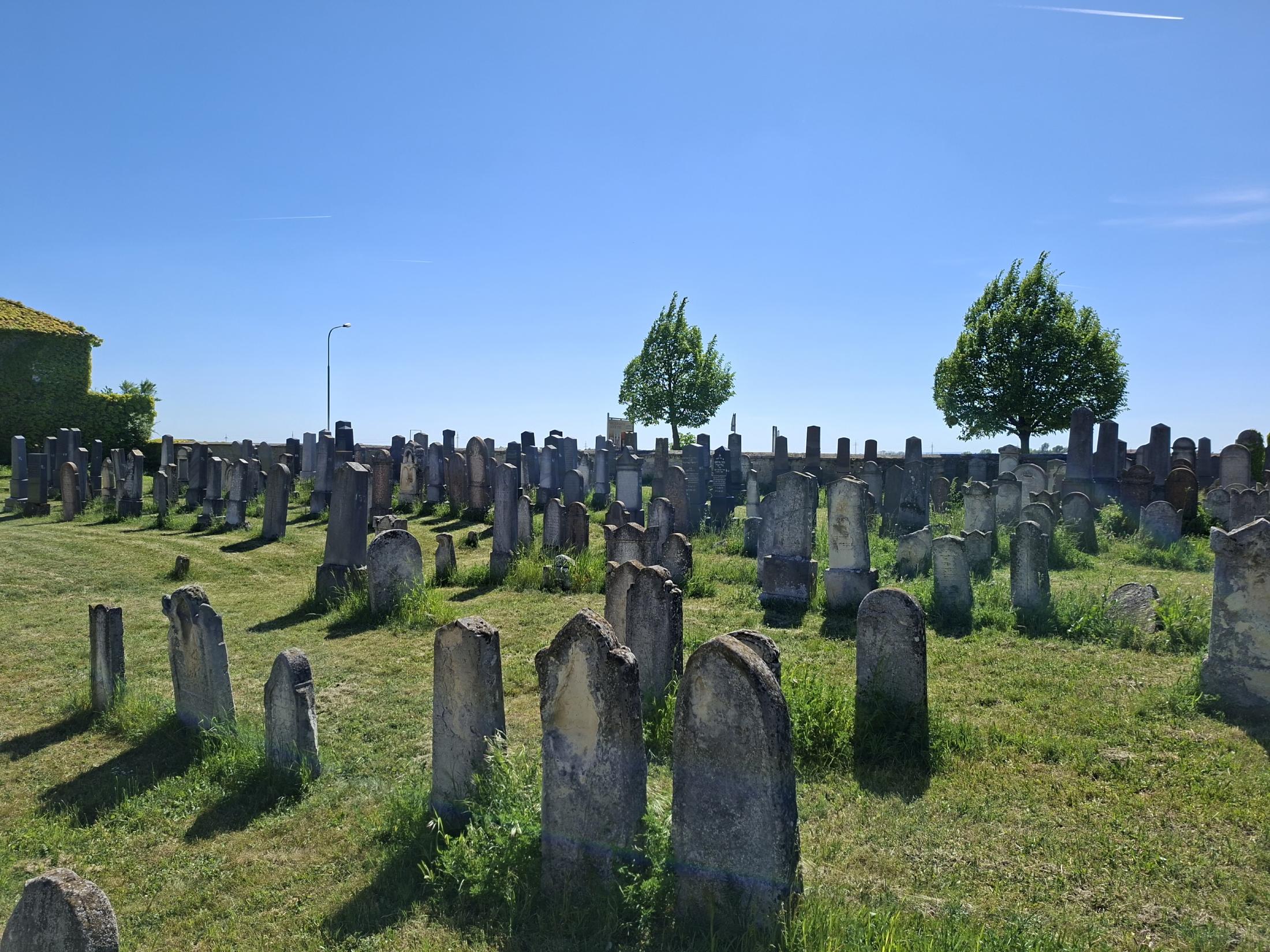 Vom Koschatn und der Kria